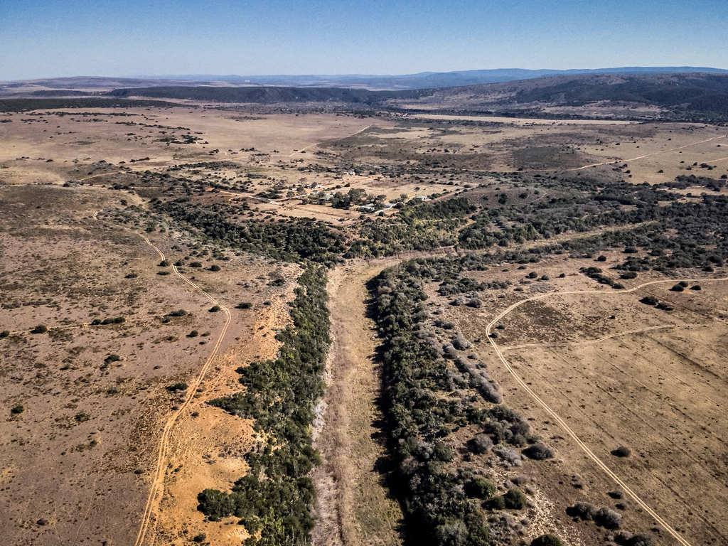 Amakhala Game Reserve18