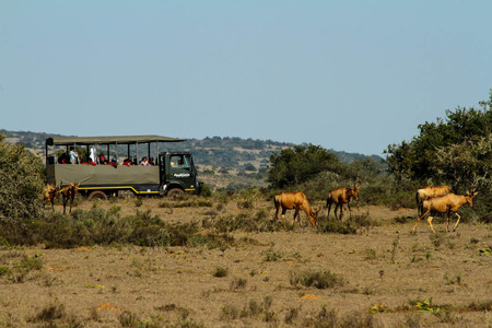 20180917 Acc Vehicle (9) Smaller 20180917 Acc Vehicle (9) Smaller