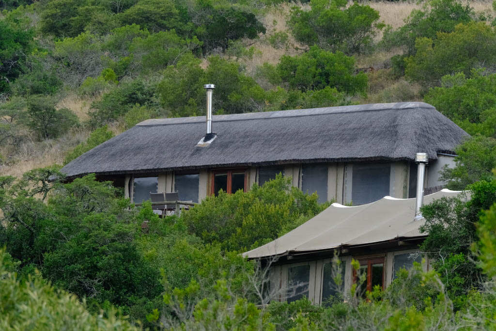 Bukela Lodge Amakhala Game Reserve11