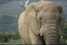 Eric Barnard (6) Eric Barnard (6)