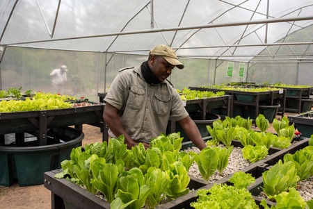 Credit Rhisotope Project (2) Credit Rhisotope Project (2)