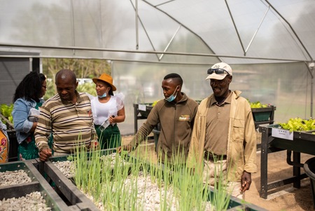 Credit Rhisotope Project (4) Credit Rhisotope Project (4)