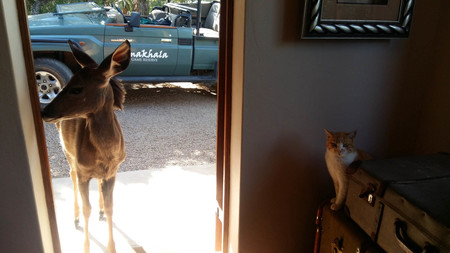 Mark Palmer 20181115 155252 (1) Mark Palmer 20181115 155252 (1)