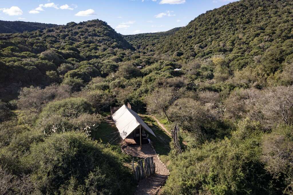 Quatermain's 1920's Safari Camp   Amakhala Game Reserve5