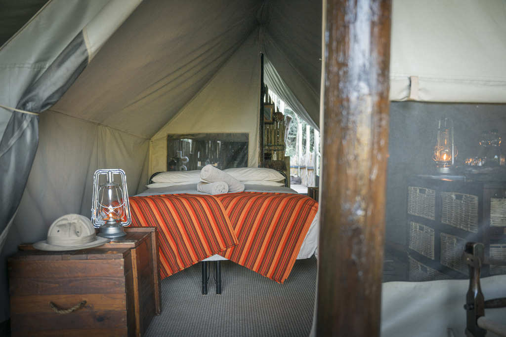 Quatermain's 1920's Safari Camp   Amakhala Game Reserve21