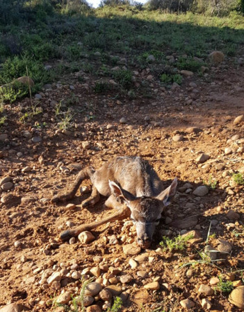 Mark Palmer Img 20180222 Wa0000 (1) Mark Palmer Img 20180222 Wa0000 (1)