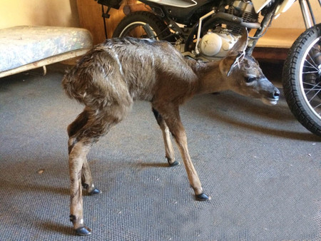 Mark Palmer Img 20180222 Wa0013 (1) Mark Palmer Img 20180222 Wa0013 (1)