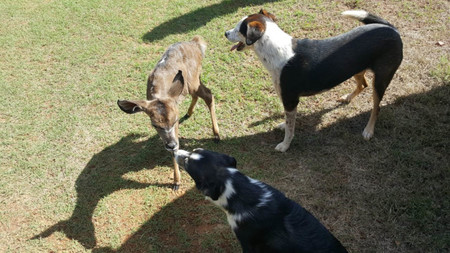 Mark Palmer Img 20180226 Wa0017 (1) Mark Palmer Img 20180226 Wa0017 (1)