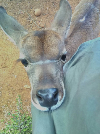 Mark Palmer Img 20180506 Wa0004 (1) Mark Palmer Img 20180506 Wa0004 (1)