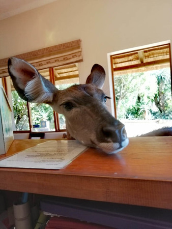 Mark Palmer Img 20190407 Wa0016 (1) Mark Palmer Img 20190407 Wa0016 (1)