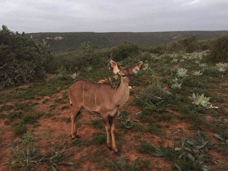 Mark Palmer Img 20190504 Wa0009 (1) Mark Palmer Img 20190504 Wa0009 (1)