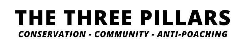 The Three Pillars (1) The Three Pillars (1)