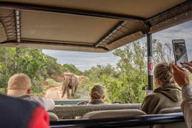 Amakhala Game Reserve Guests3