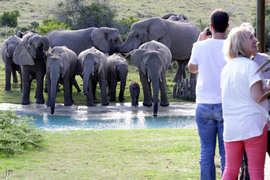 Amakhala Game Reserve Guests13